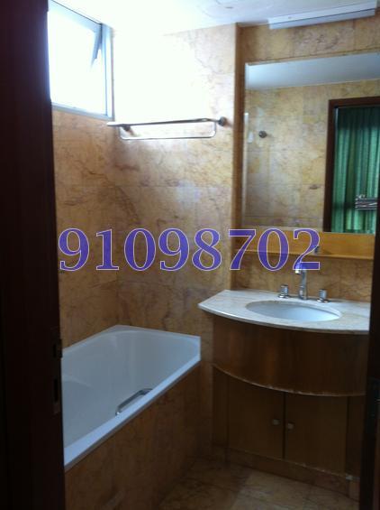 Rafflesia Condominium (D20), Condominium #147193952